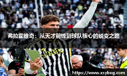 弗拉霍维奇：从天才前锋到球队核心的蜕变之路